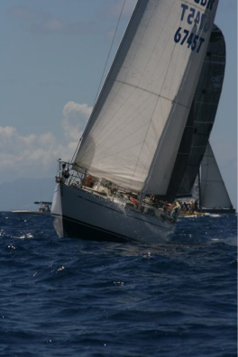 monkeys fist sea instructor