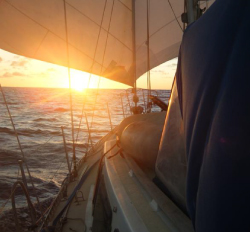 monkeys fist sail training