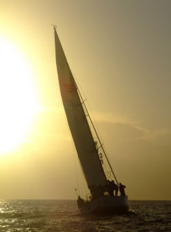 yacht race training