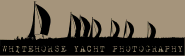 white horse photography logo